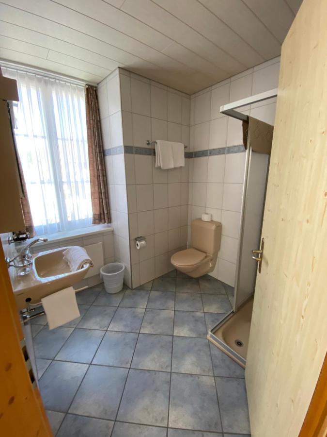 Hotel Alpina Unterschächen エクステリア 写真