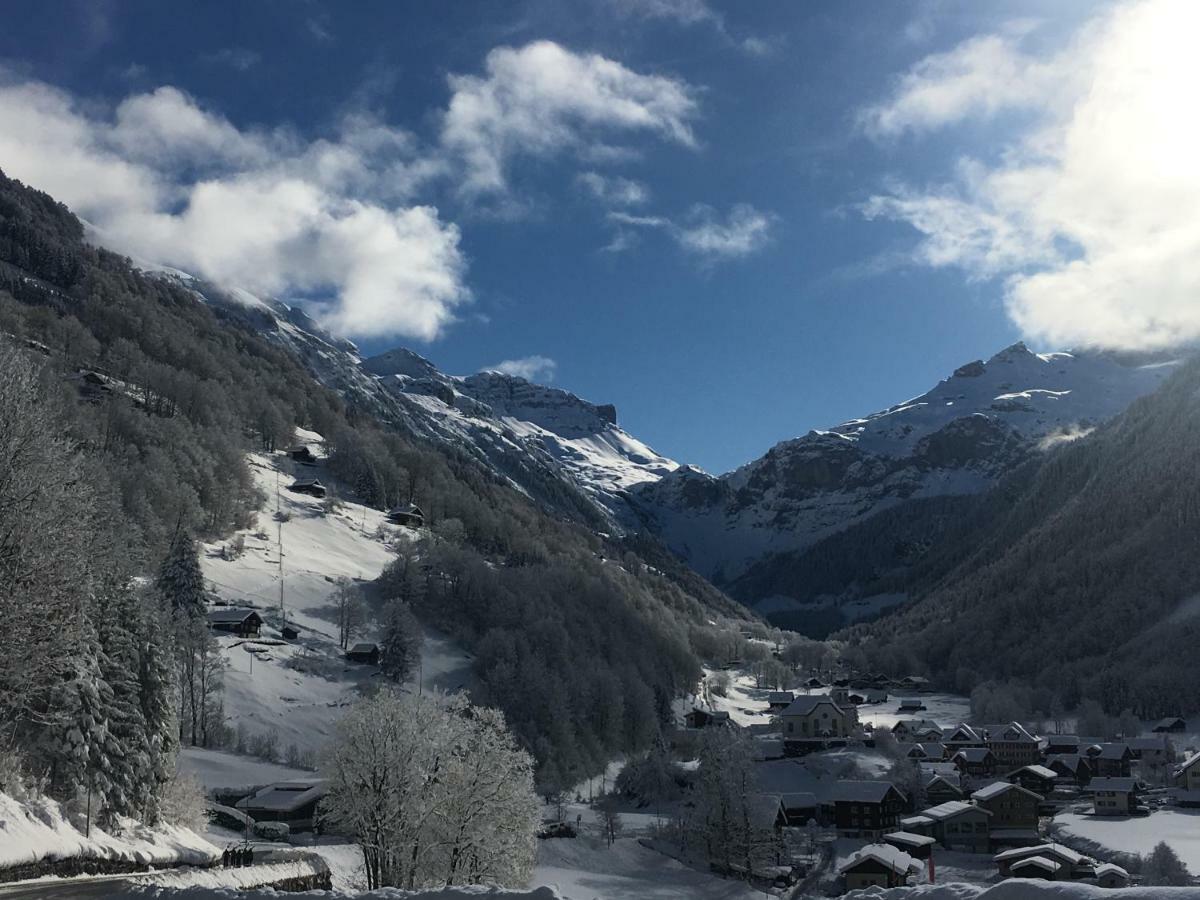 Hotel Alpina Unterschächen エクステリア 写真